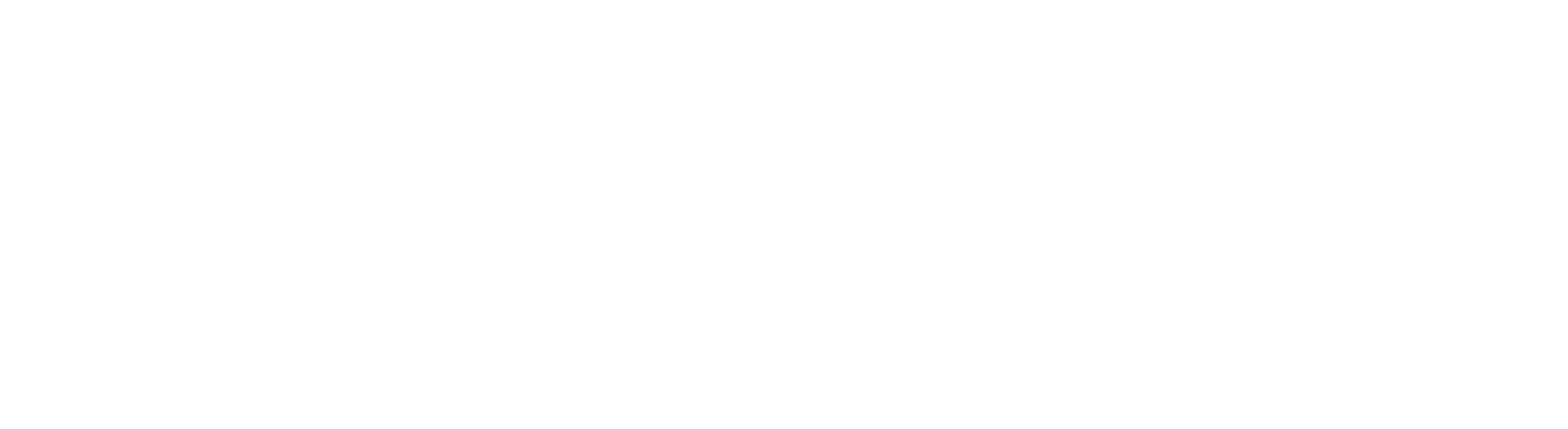 Disco Presents